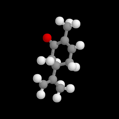 carvone molecule